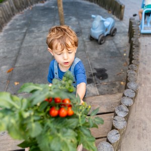 Kids and Carrots Fahrenheitstraat